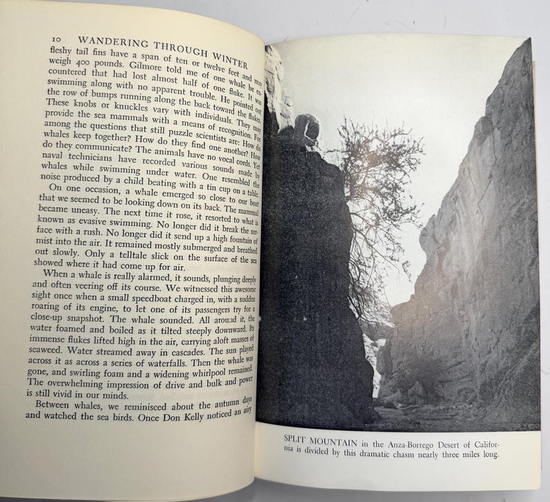 May include: A black and white photograph of a book open to a page with text and a landscape image. The landscape shows a narrow canyon with tall rock walls. The text describes whales and the ocean.