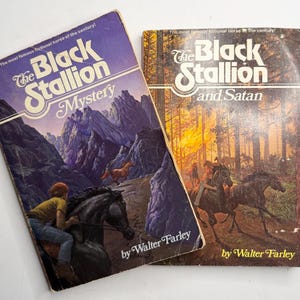 May include: Two vintage paperback books, "The Black Stallion Mystery" and "The Black Stallion and Satan," by Walter Farley. The covers feature illustrations of horses and riders, with a mountain and forest backdrop.