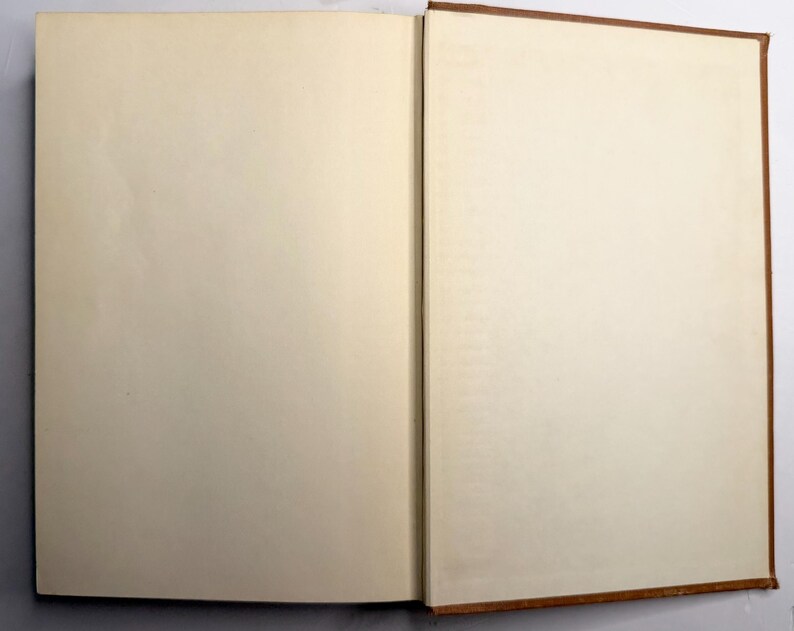 May include: An open book with blank, cream-colored pages. The book has a brown leather cover and spine. The pages are clean and ready for writing or drawing. The book is open, displaying two facing pages.