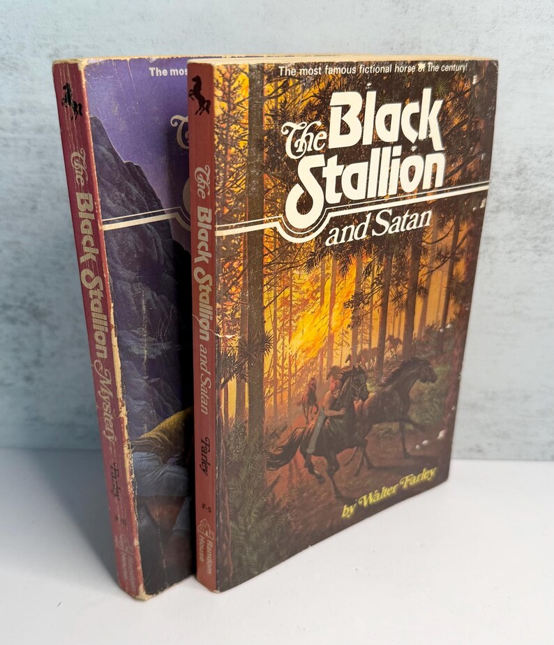 May include: Two vintage books, "The Black Stallion and Satan" and "The Black Stallion Mystery." The first book features a cover illustration of riders on horseback in a forest. The second book has a purple cover with a mountain scene.