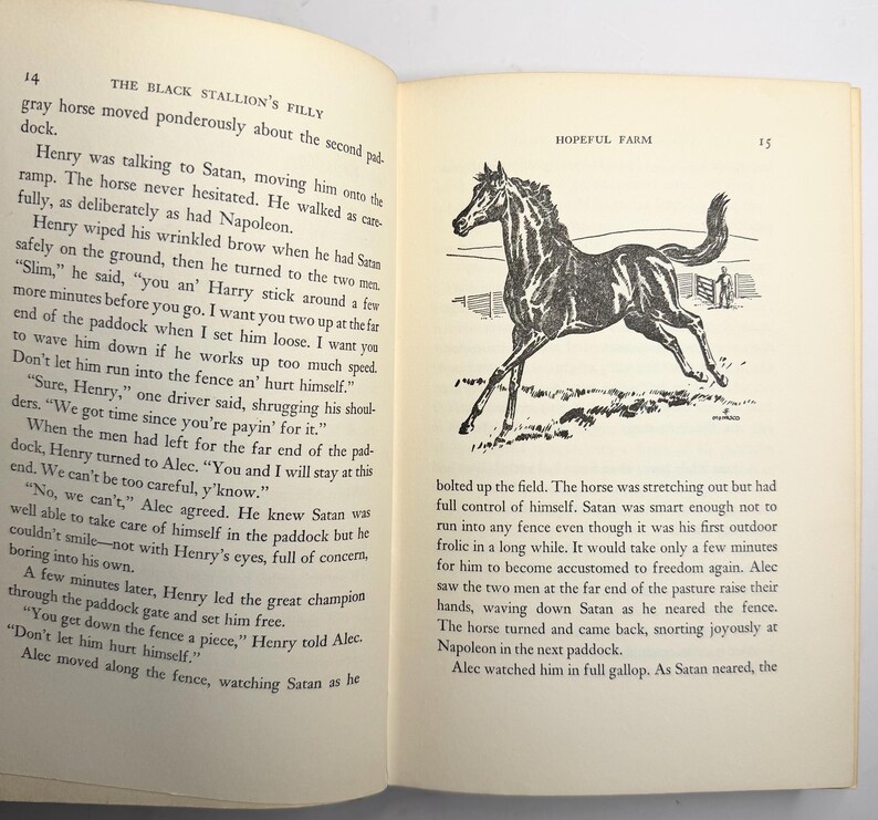 May include: Open book page with text and a black and white illustration of a horse running. The text includes the title "THE BLACK STALLION'S FILLY" and the words "HOPEFUL FARM".