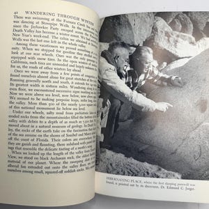 Wandering Through Winter by Edwin Way Teale 1965 First Edition Hardcover with Dust Jacket, Pulitzer Prize Winner, Vintage Nature Book image 11