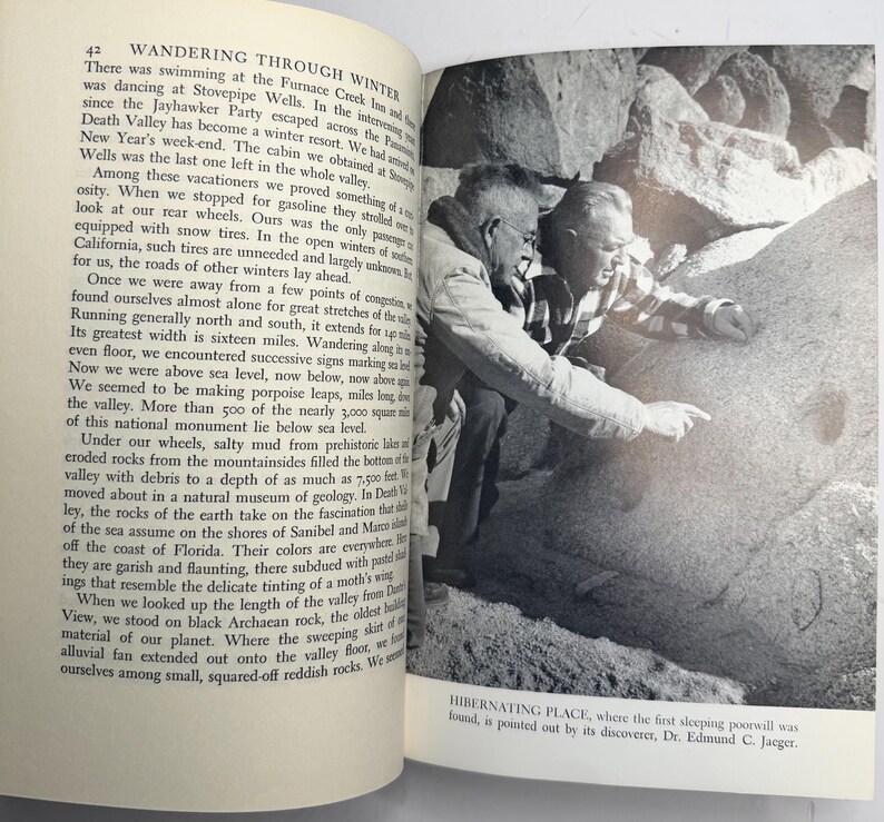 Wandering Through Winter by Edwin Way Teale 1965 First Edition Hardcover with Dust Jacket, Pulitzer Prize Winner, Vintage Nature Book image 11