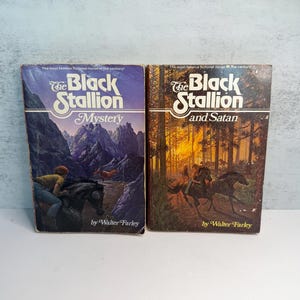 May include: Two vintage paperback books, "The Black Stallion Mystery" and "The Black Stallion and Satan," by Walter Farley. The covers feature illustrations of horses and riders, with a mountain landscape and a forest scene.