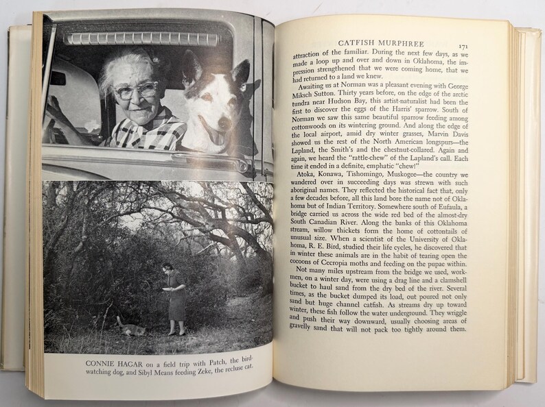 Wandering Through Winter by Edwin Way Teale 1965 First Edition Hardcover with Dust Jacket, Pulitzer Prize Winner, Vintage Nature Book image 15
