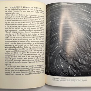 Wandering Through Winter by Edwin Way Teale 1965 First Edition Hardcover with Dust Jacket, Pulitzer Prize Winner, Vintage Nature Book image 14