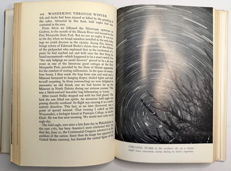 Wandering Through Winter by Edwin Way Teale 1965 First Edition Hardcover with Dust Jacket, Pulitzer Prize Winner, Vintage Nature Book image 14