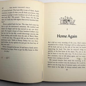 May include: An open book with text on both pages. The left page has text titled "THE BLACK STALLION'S FILLY" and the right page has text titled "Home Again" with a small illustration of a fireplace.