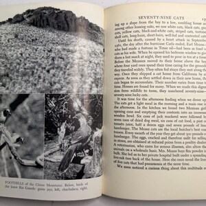 May include: A vintage book page featuring black and white photographs. The top image shows a hillside, while the lower images depict birds. Text on the page reads "SEVENTY-NINE CATS" and "FOOTHILLS of the Chisos Mountains."