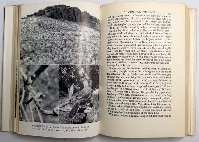 May include: A vintage book page featuring black and white photographs. The top image shows a hillside, while the lower images depict birds. Text on the page reads "SEVENTY-NINE CATS" and "FOOTHILLS of the Chisos Mountains."