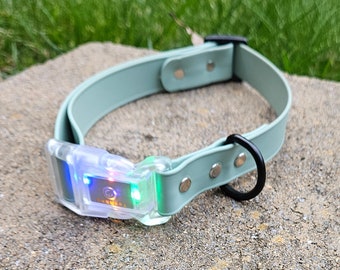 Light Up Buckle BioThane Collar, Dog, Waterproof