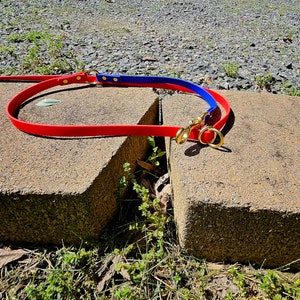 May include: Two dog leashes, one red and one blue, are lying on a concrete surface. The leashes are made of a durable material and have gold-colored hardware.