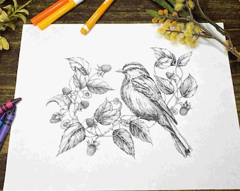 Página para colorear de pájaros y bayas: Arte original del bosque (PDF y JPG)