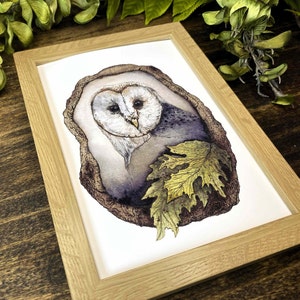 watercolor owl perched in a tree fine art print