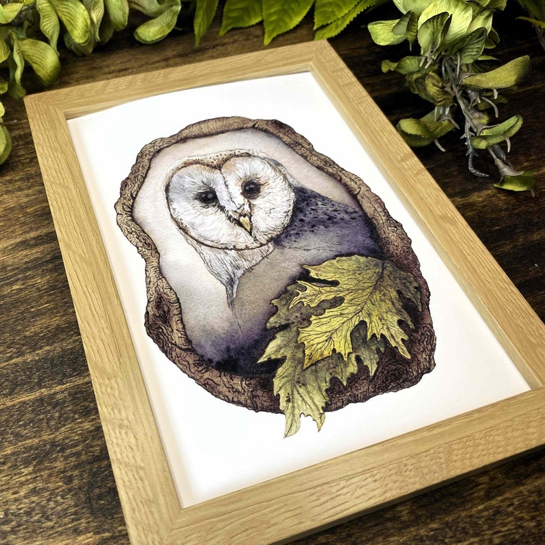 watercolor owl perched in a tree fine art print