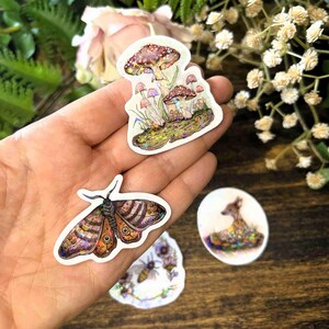 Enchanted Forest Mini Sticker Pack, Waterproof Vinyl, Nature Lover Gift, Laptop Sticker Journal Water Bottle