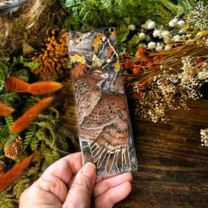 May include: A rectangular bookmark featuring a detailed illustration of a brown hawk perched among autumn leaves and acorns. The artwork displays a dark, textured background with shades of brown, orange, and yellow. The text "Hawk and the Oak" is printed in white at the bottom.