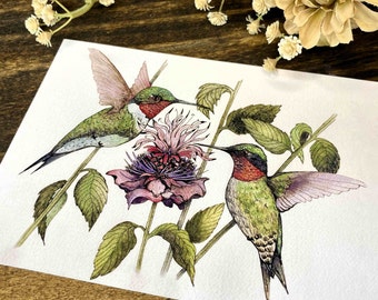 Charming Hummingbird Watercolor Painting - Ideal Gift for Bird Lovers - Nature Inspired Wall Art, For Her Birthday Mothers Day