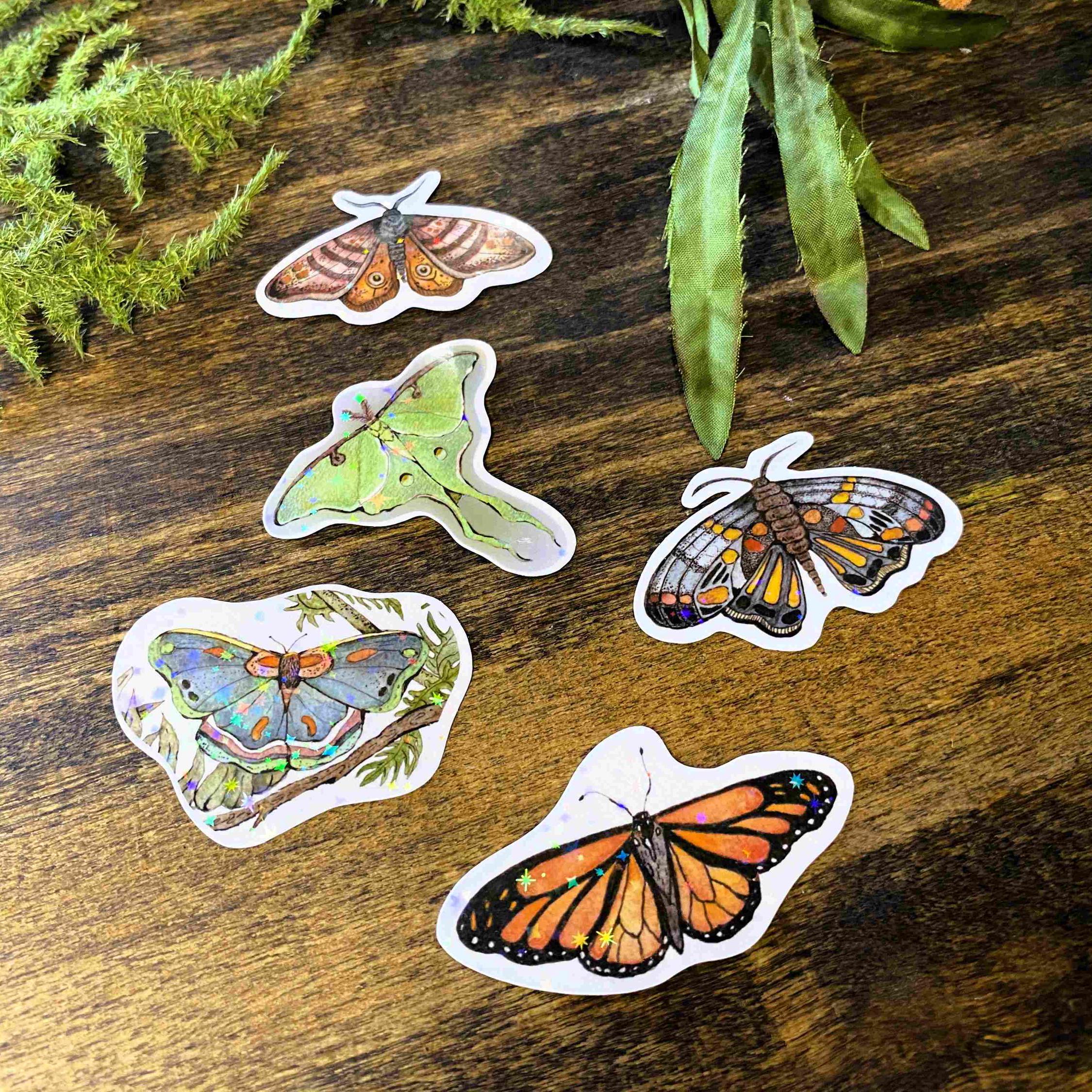 Butterfly & Moth Mini Sticker Pack: Waterproof Vinyl Decals - Etsy