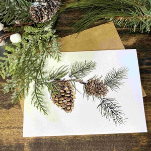 Pine Branch and Pinecones - Blank Greeting Card With Kraft Envelope ...