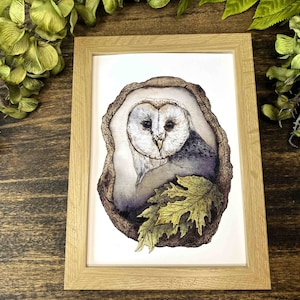 watercolor owl perched in a tree fine art print