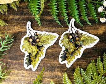 Watercolor Oak Leaf and Acorn Sticker: Waterproof Vinyl Art