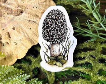 Morel Mushroom Sticker: Waterproof Vinyl, Watercolor Art
