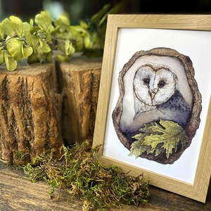 watercolor owl perched in a tree fine art print