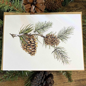 Pine Branch and Pinecones - Blank Greeting Card With Kraft Envelope ...