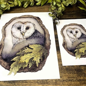 watercolor owl perched in a tree fine art print