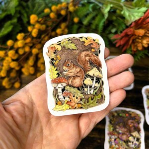 Red Squirrel Sticker- Laptop Decal for Nature Lovers - Waterproof - Animal Art - Journal Decoration