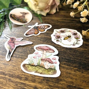 Enchanted Forest Mini Sticker Pack, Waterproof Vinyl, Nature Lover Gift, Laptop Sticker Journal Water Bottle