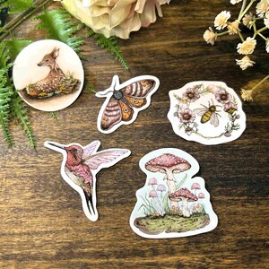 Enchanted Forest Mini Sticker Pack, Waterproof Vinyl, Nature Lover Gift, Laptop Sticker Journal Water Bottle
