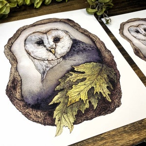 watercolor owl perched in a tree fine art print