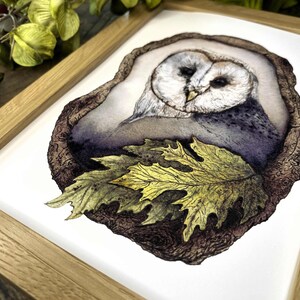watercolor owl perched in a tree fine art print