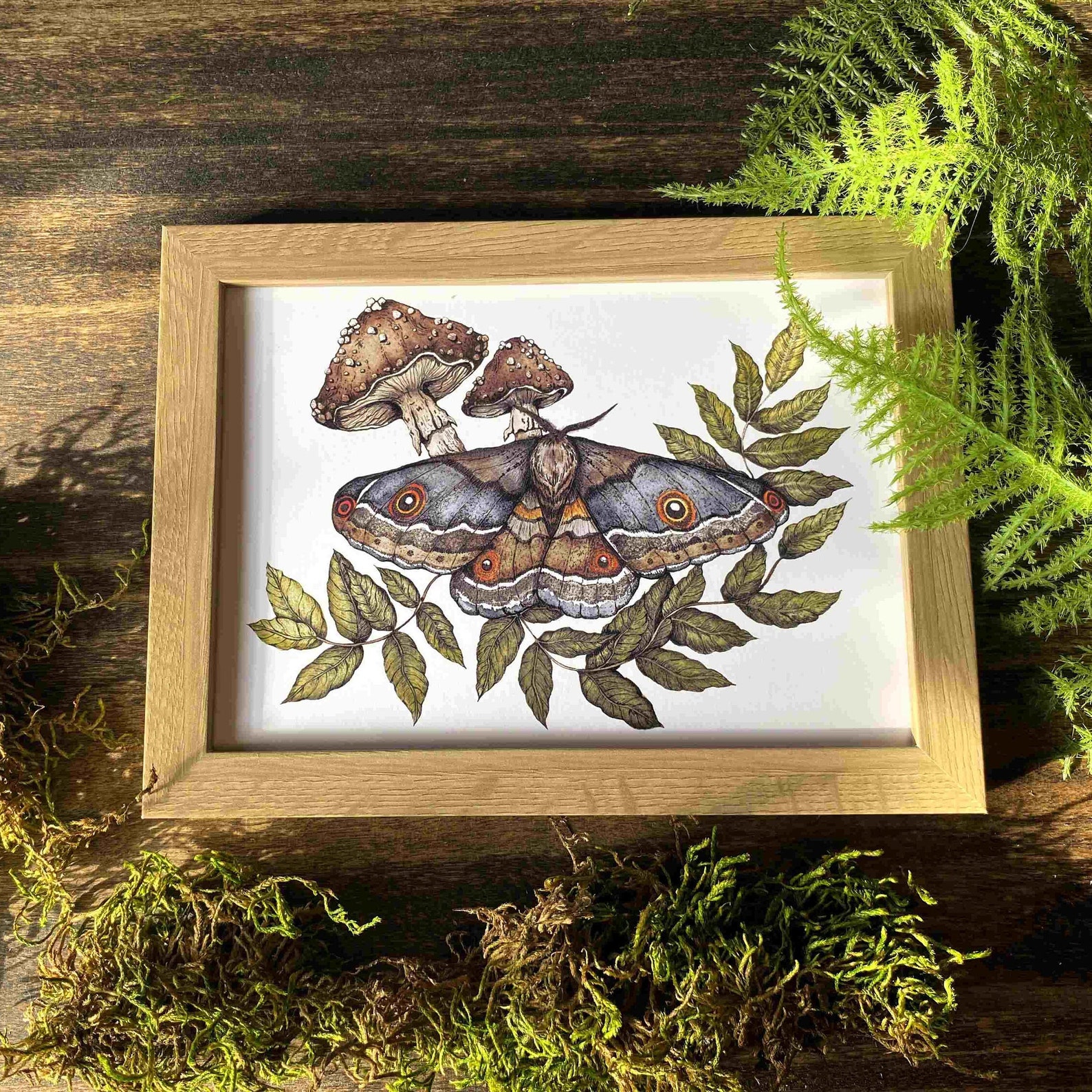 Watercolor Moth and Mushroom Print: Hand Painted Nature Art - Etsy