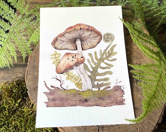 Könnte beinhalten: Aquarellmalerei von zwei Pilzen mit braunen Hüten und Stielen, die aus einem Baumstamm mit grünen Farnen und Blättern wachsen.