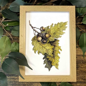 Oak Leaves and Acorns Watercolor Art Print: Woodland Decor