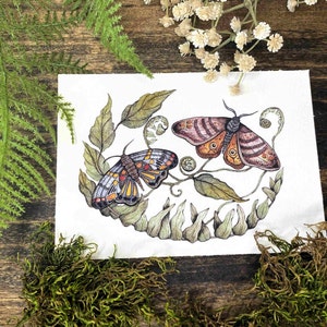 Botanical Moth and Butterfly Watercolor Art Print: Nature Wall Decor