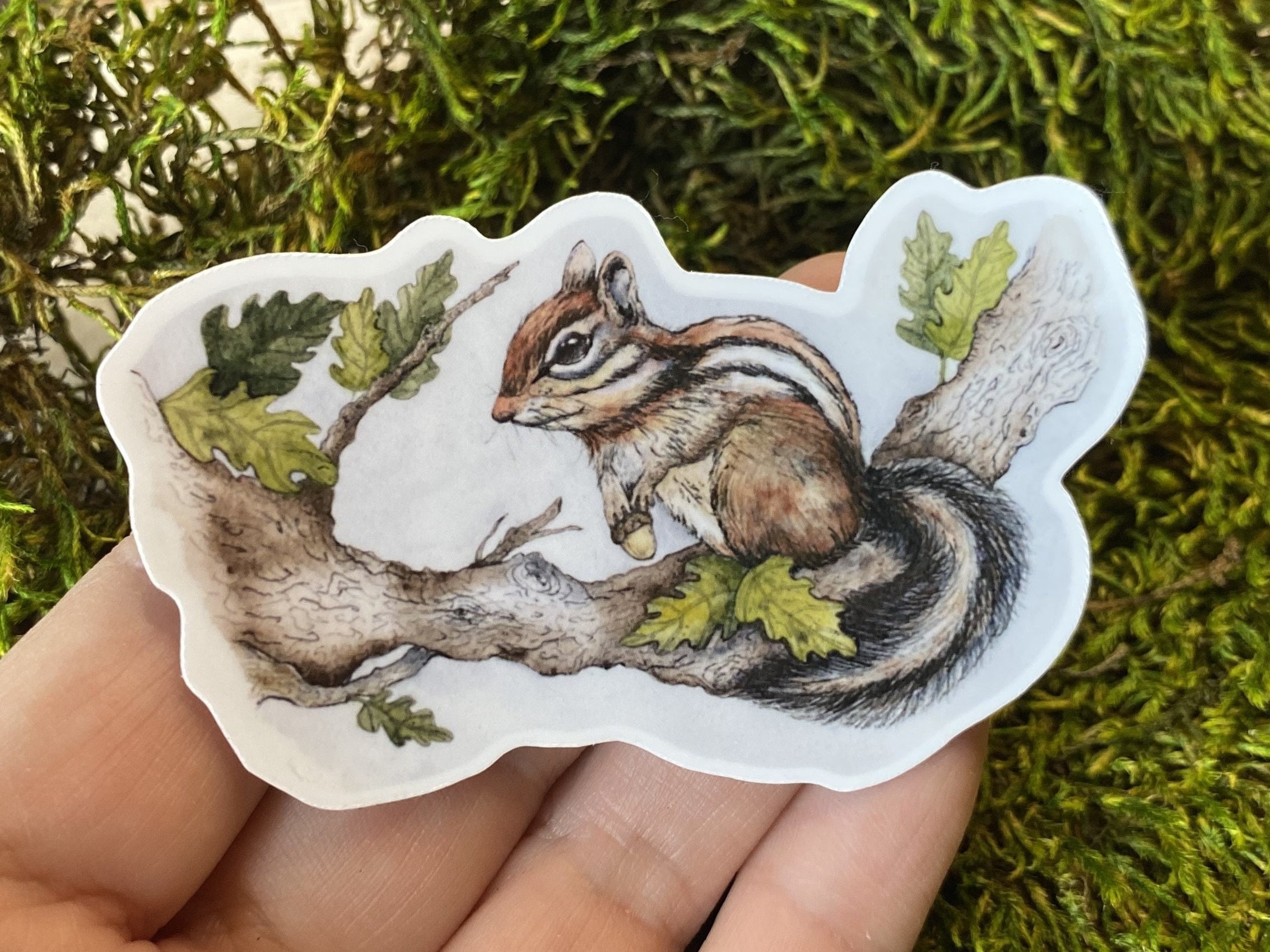 Chipmunk Sticker Chipmunk Sticker: Watercolor Oak Tree Art, Waterproof Vinyl - Etsy