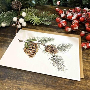 Pine Branch and Pinecones - Blank Greeting Card With Kraft Envelope ...