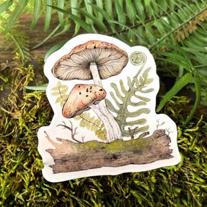 Waterproof Mushroom Sticker: Orange Fungi, Laptop Decal