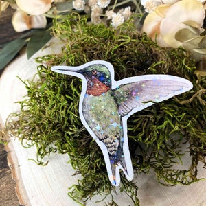 Watercolor Hummingbird Sticker: Waterproof Vinyl Decal