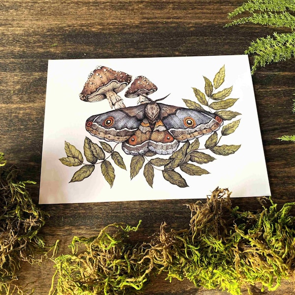 watercolor moth and mushroom print, moth print, moth art, moth and mushroom, nature wall art, forest core art, moth watercolor print