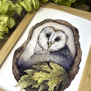 watercolor owl perched in a tree fine art print