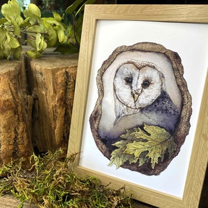 watercolor owl perched in a tree fine art print