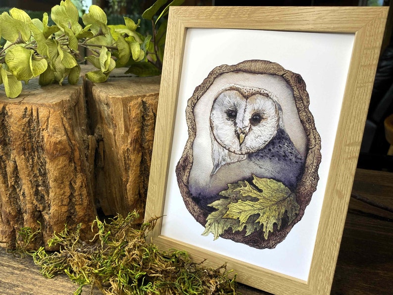 watercolor owl perched in a tree fine art print