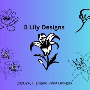Lily Design Bundle, Lily svg, Lily png, Lily digital elements, Lily doodle