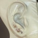 see more listings in the Ear Sweeps section