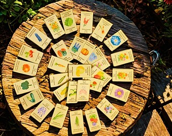 Miniature Seed Packet Kit  32 Varieties 1:12 Scale Dollhouse Printables Fairy Garden Mini Seeds  DIY Printable Display Boxes, DIY miniature